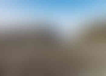 阿里山茶園日出婚紗