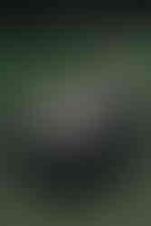 大草皮婚紗 文青LINN系