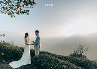【新人推薦】阿里山婚紗攝影：二萬坪鐵道、日出茶園與黑森林的自然紀實｜LINN Photography