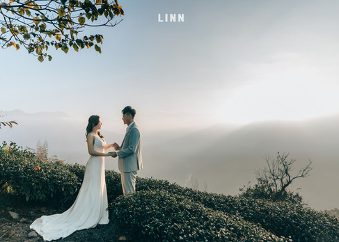 阿里山茶園日出婚紗