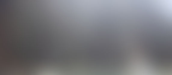                              惠蓀林場 森林感婚紗攻略