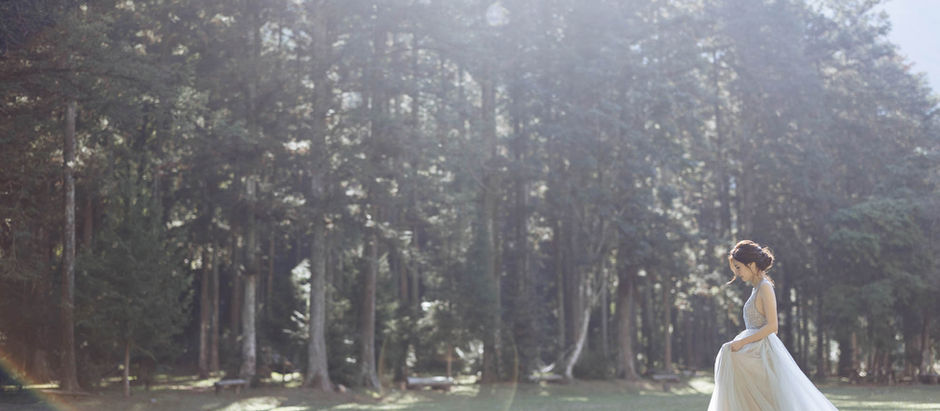                              惠蓀林場 森林感婚紗攻略