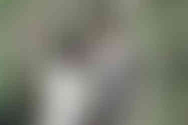 在鬱鬱蔥蔥的溪頭林間，紀錄兩人最自然的依偎瞬間。	溪頭婚紗攝影-森林系婚紗-推薦-Xitou-Forest-Wedding-Photography