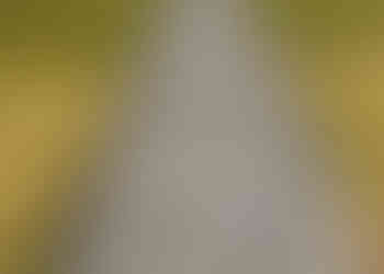 忘憂谷互動婚紗