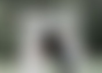 顏氏牧場婚禮 LINN 戶外婚紗攝影 推薦文 美式婚紗婚禮攝影