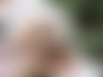 【新人推薦】帶狗狗拍婚紗！從韓式攝影棚到暨大草皮，紀錄極致細膩與自然奔放的夢幻旅程