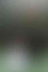 婚禮備婚手札享受愛情的優雅