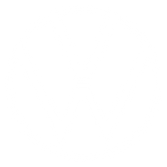 Volkswagen-Logo_edited.png