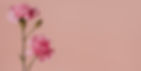 flower background
