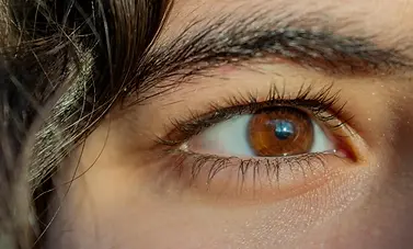 A woman's brown eye.