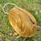 Thumbnail: Golden Grass Infinite Bag