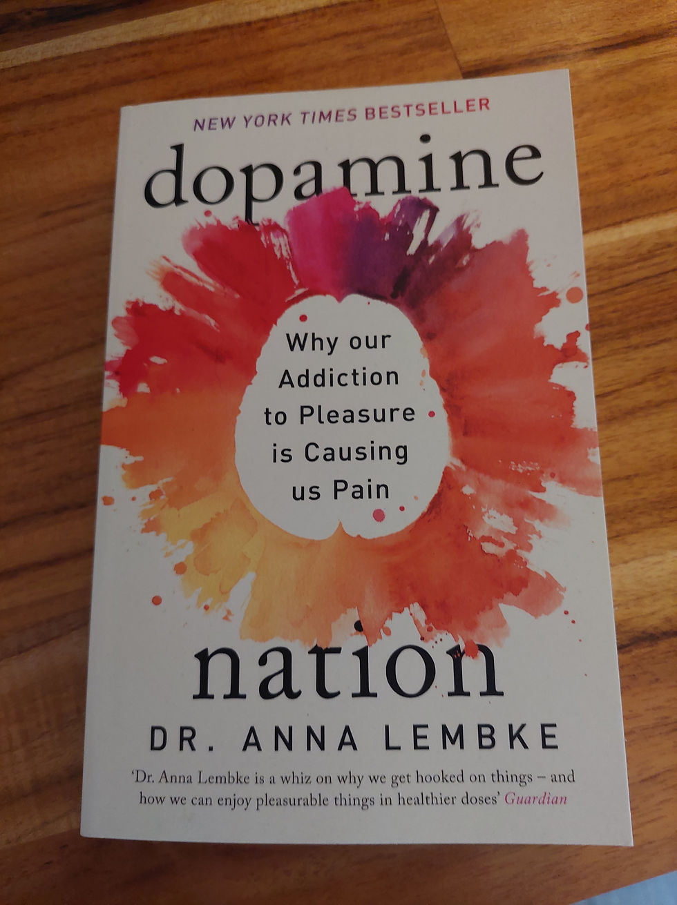 Book Dopamine Nation