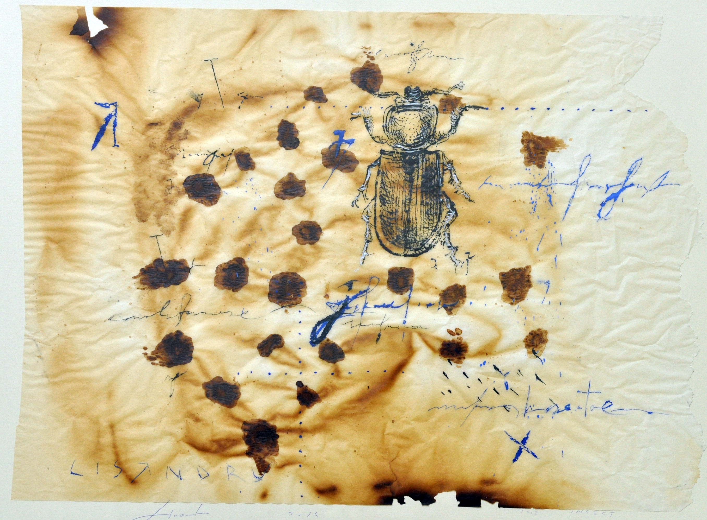 The Bug