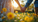 Romantic Photoshoot Ideas to Try