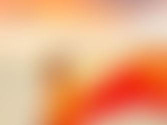 The Elegance of Flying Dress Photography and the Factors That Influence Its Price