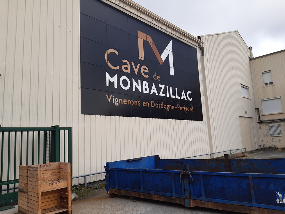 SEMAINE DE L’INDUSTRIE : de la grappe au vin.