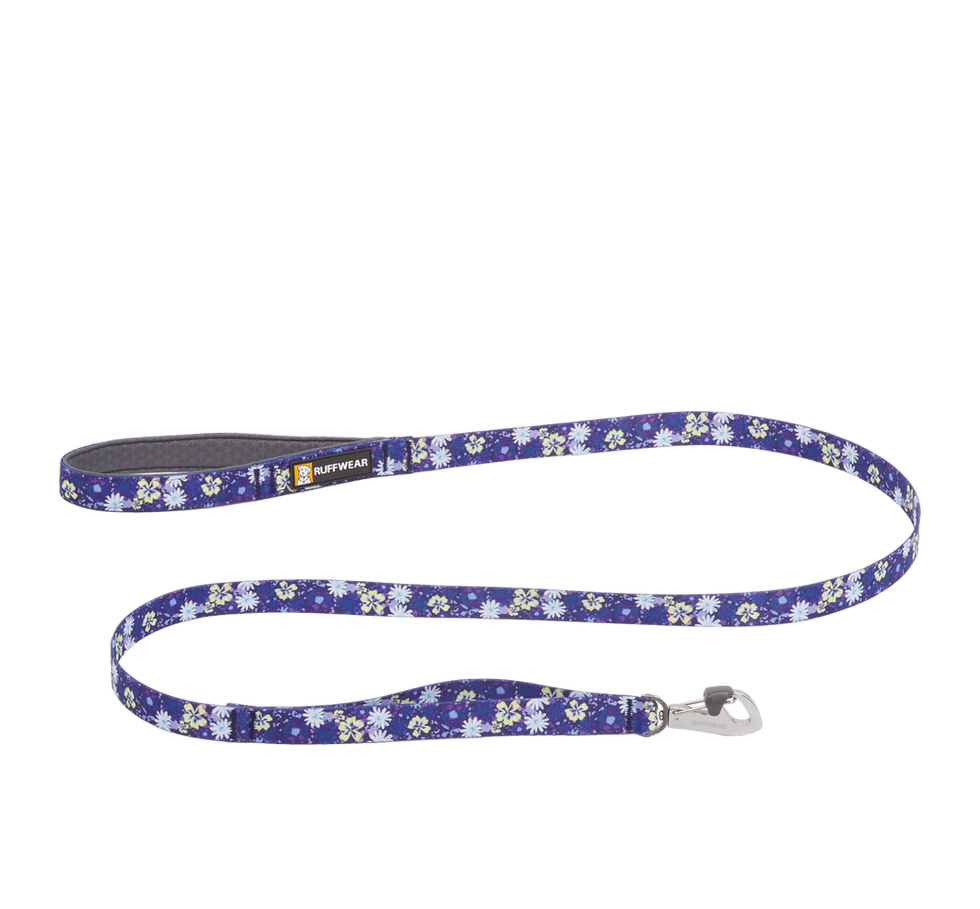 Thumbnail: Blue patterned dog leash with a silver clasp on black background.