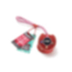 Red Big Rope 2 Knot, Eco Dog Toy with G&W logo and tags Pick Up The Paws