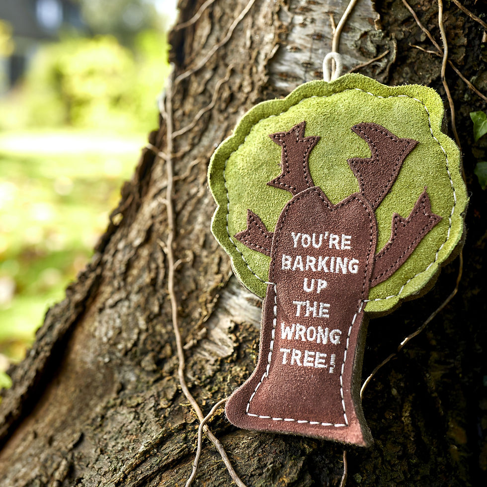 Thumbnail: You're barking up the wrong tree! Tree ornament hanging on a tree trunk.