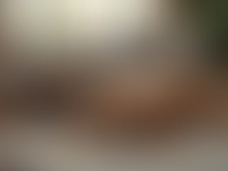 The Stress-Relief Benefits of Pet Sitting for Dogs