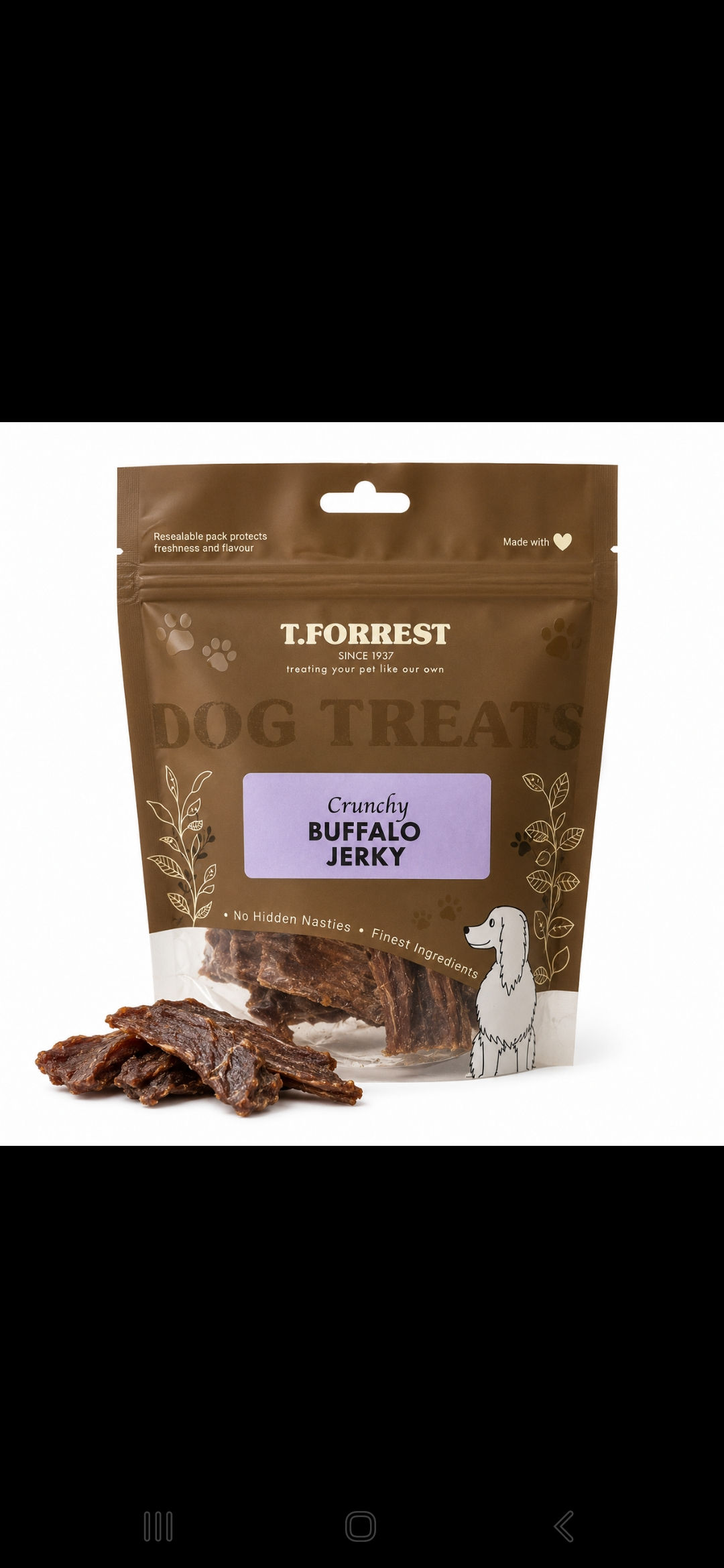 BUFFALO JERKY