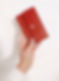 Pochette en cuir sur mesure_edited.jpg