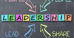 Professional Leadership Series