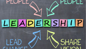 Professional Leadership Series
