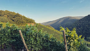 Urlaub vor der Haustür