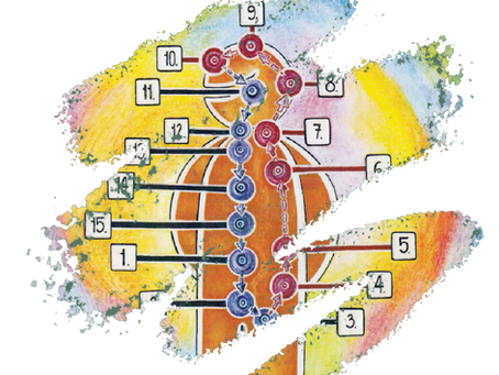 O HORMONÁLNÍCH BODECH A AUTOMATICKÉM OKRUHU