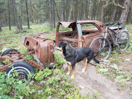 Small update about the blog