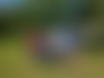 I'm officially old, and other assorted thoughts