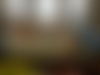 Ottawa is the kind of town