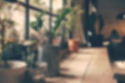 ウィンドウの上の植物