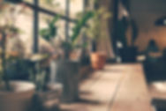 ウィンドウの上の植物