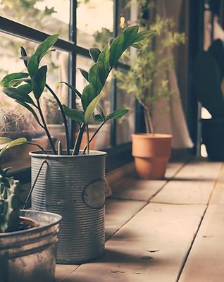 Plant Health Care