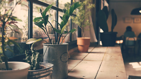 Unleashing the Power of Purity: Ways to Incorporate Reverse Osmosis Water in Your Everyday Life