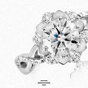 product page - middle halo_edited.jpg