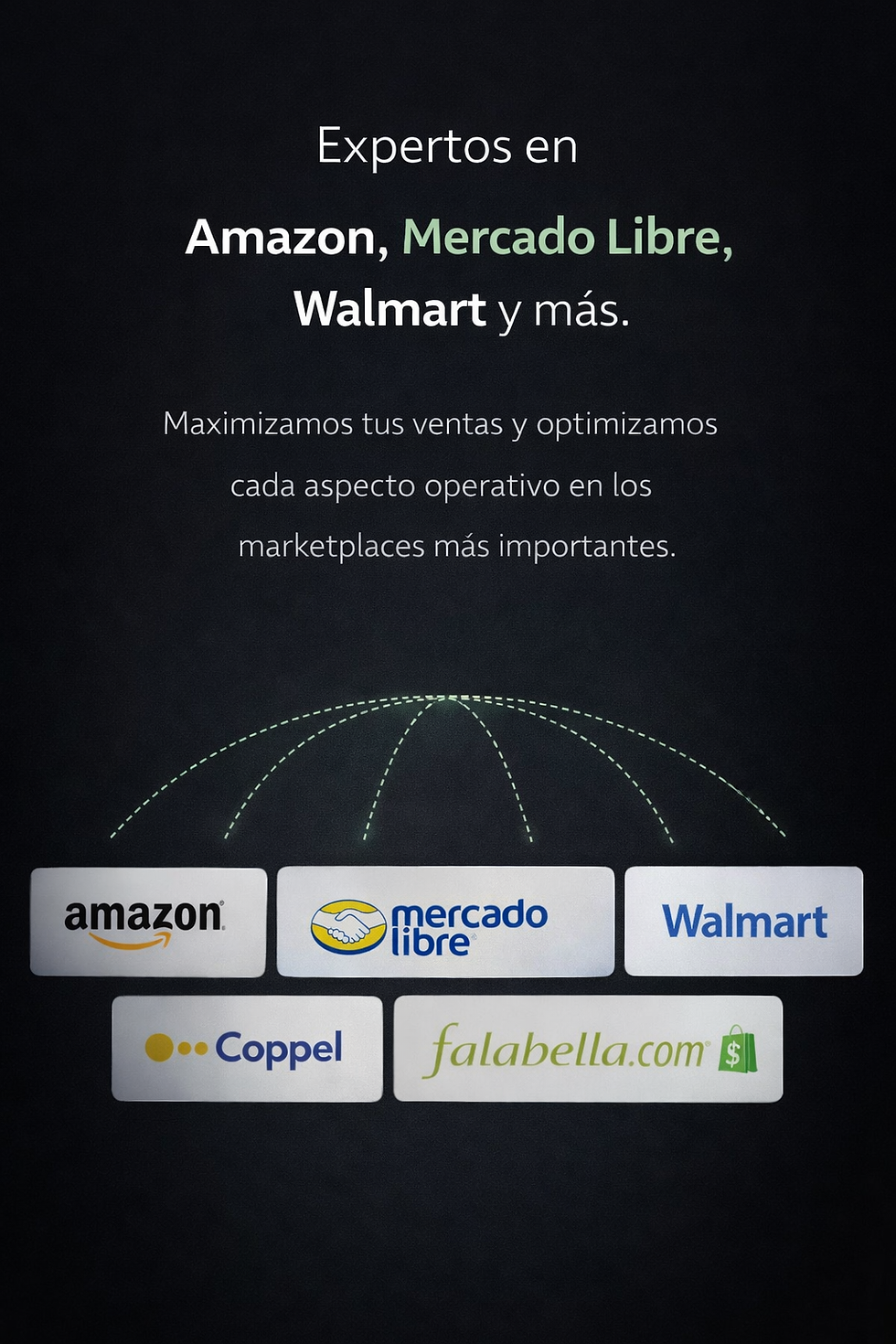experots_en_amazon_mercado_libre_ecommerce_agencia_de_marketing_ventas_resultados_coppel_chedraui_shopify_estrategia_ads_meta