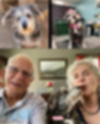 Rescue dog adopted through Paw of Duty Lodging