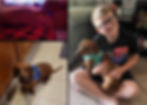 Rescue dog adopted through Paw of Duty Lodging