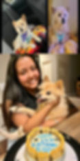 Rescue dog adopted through Paw of Duty Lodging