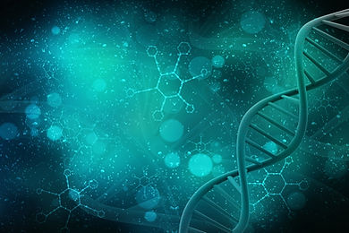 Pharma AdobeStock_205486279.jpeg