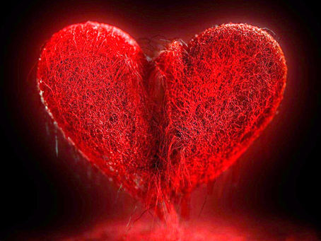 There is no cruelty in God and none in me.