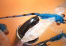 Adult Damsel Blue