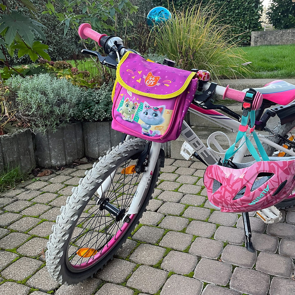 Pinke, rosafarbene Tasche mit Katzenmotiv und Klettbaendern zur Befestigung am Kinderfahrrad, am Kinderfahrrad im Garten