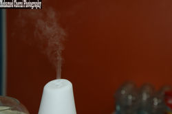 IMG_1639 (نسخ)