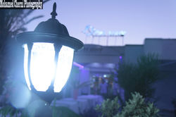 IMG_1618 (نسخ)