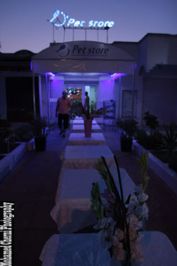 IMG_1621 (نسخ)
