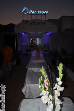 IMG_1623 (نسخ)